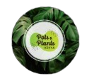 potsandplantskenya.com