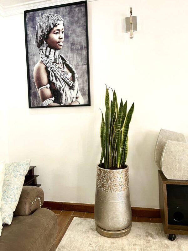 Twiga Tall + Snakeplants