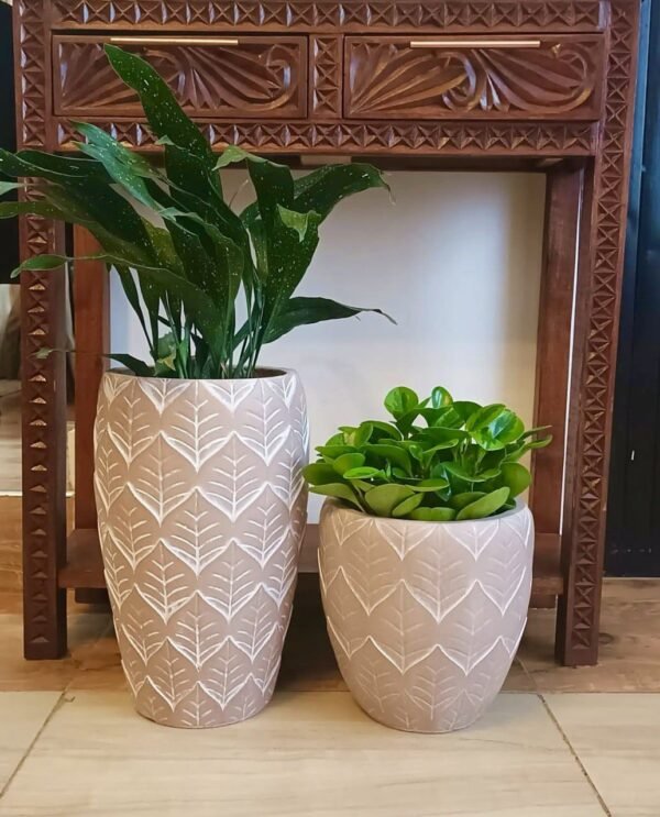 Tausi(L) + Cast Iron Plant / Tausi(S) + Peperomia