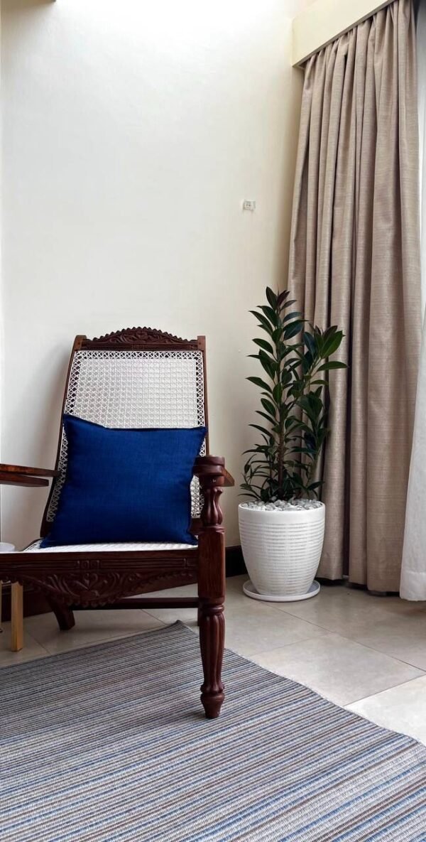 Jasiri + Miniature Rubber Plant