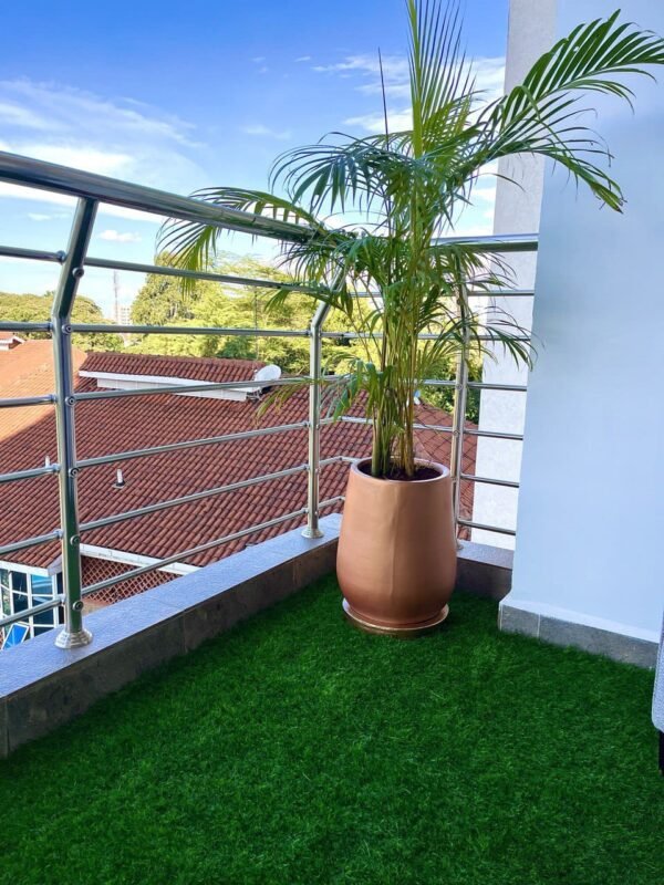 Goldie + Golden Palm