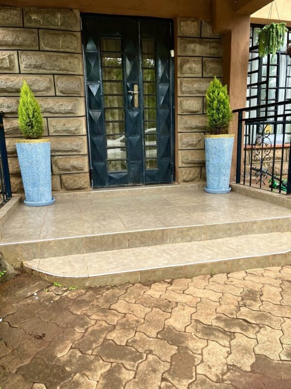 Kinu (L) + Lemon Cypress