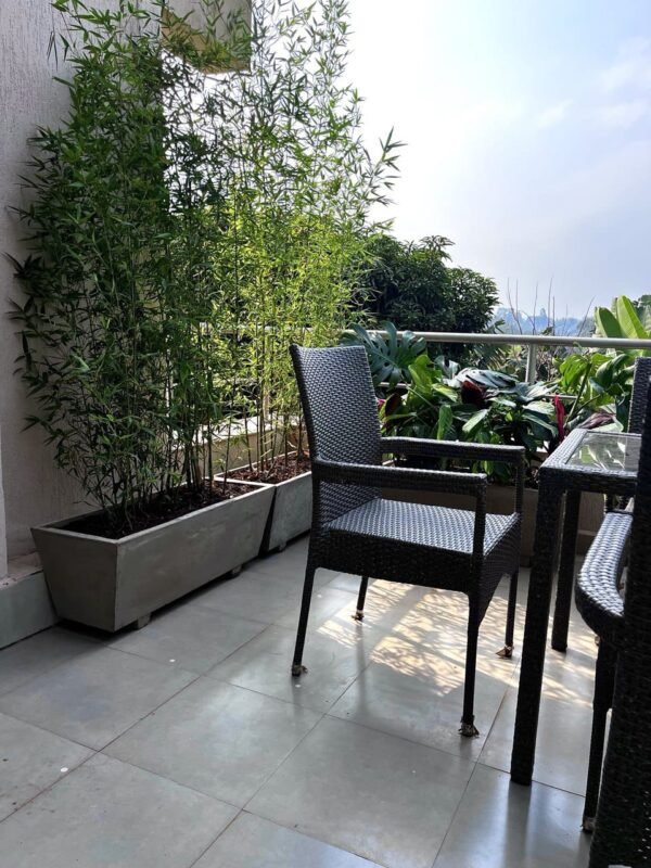 Trough + Assorted Plants