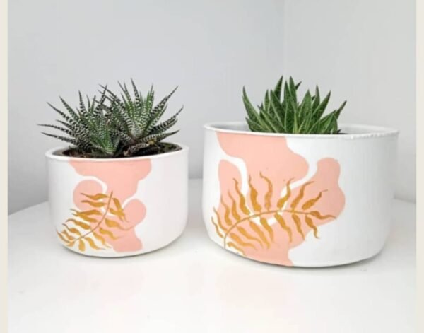 Small Ring Pot + Plant