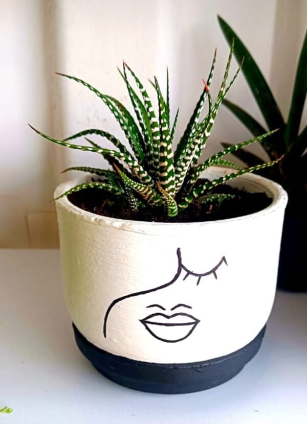 Small Ring Pot + Plant