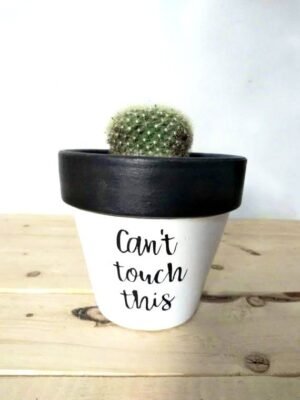 Plant Pun Pot + Succulent