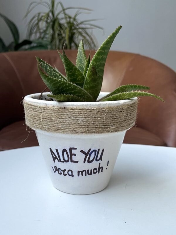 Plant Pun Pot + Succulent