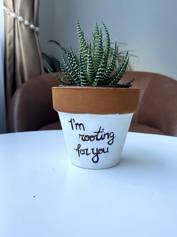 Plant Pun Pot + Succulent