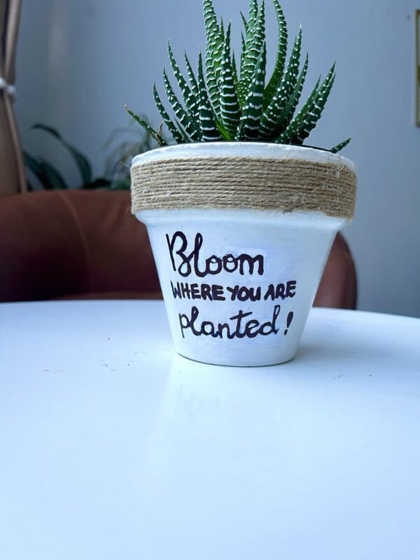 Plant Pun Pot + Succulent