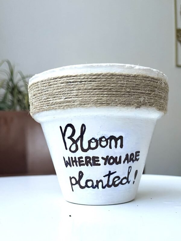 Plant Pun Pot