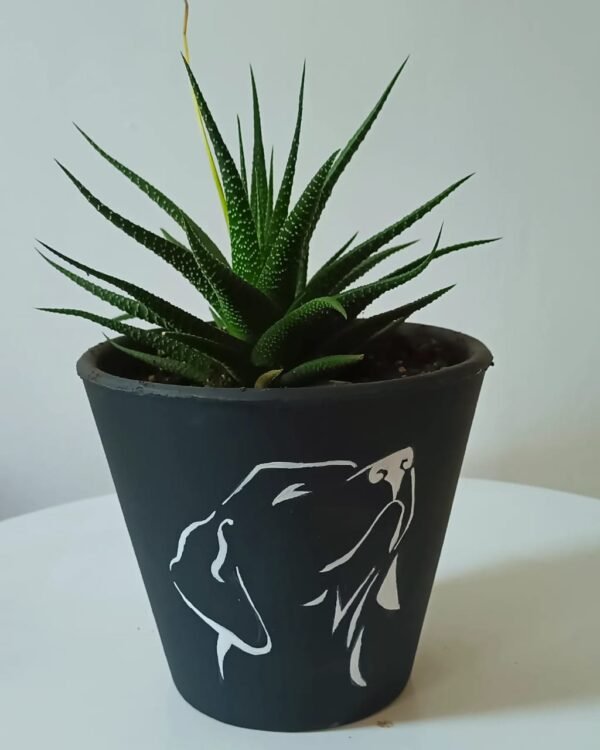 Vase With Line Art Detail